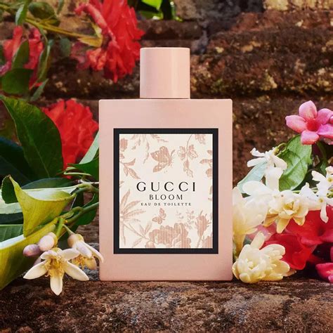 gucci bloom perfume fragrance.net|Gucci Bloom release date.